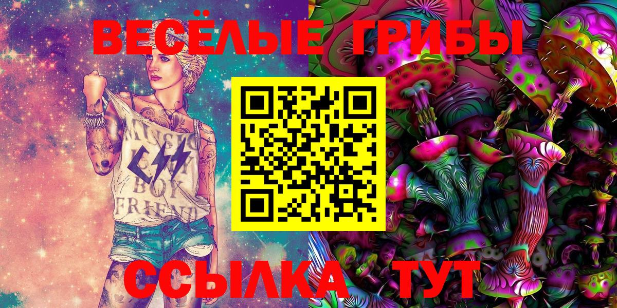 Псилоцибиновые грибы Cubensis Костомукша