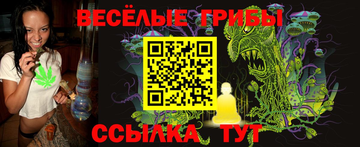 Галлюциногенные грибы мицелий  Галлюциногенные грибы ЛСД  Костомукша  Вход с VPN 